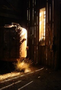 Рэйчел О’Тул